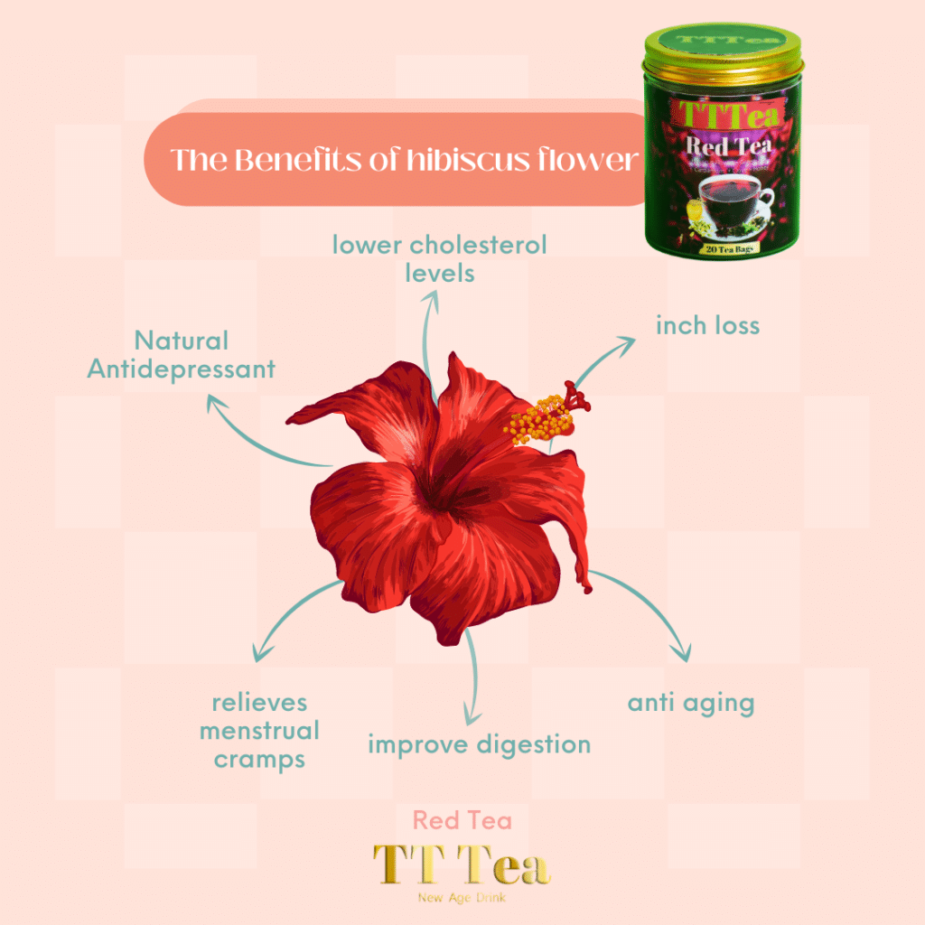 hibiscus flower benefits,Benefits of hibiscus flower