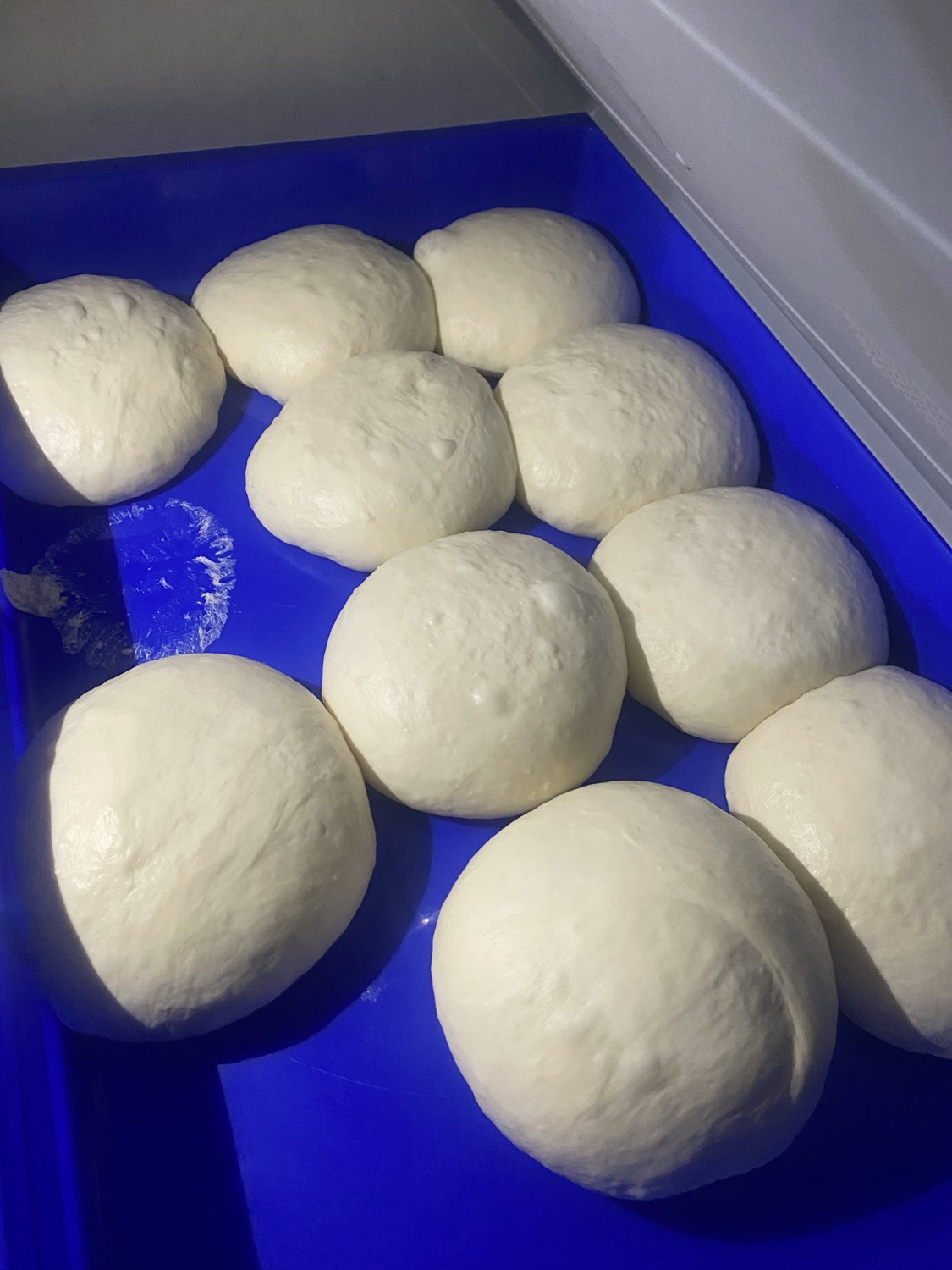 Fresh TTTea dough balls proofing